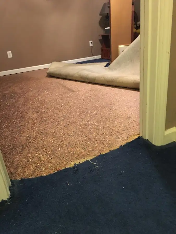 Carpet pad removal revealing water damage during Water Mitigation Services in Irondale
