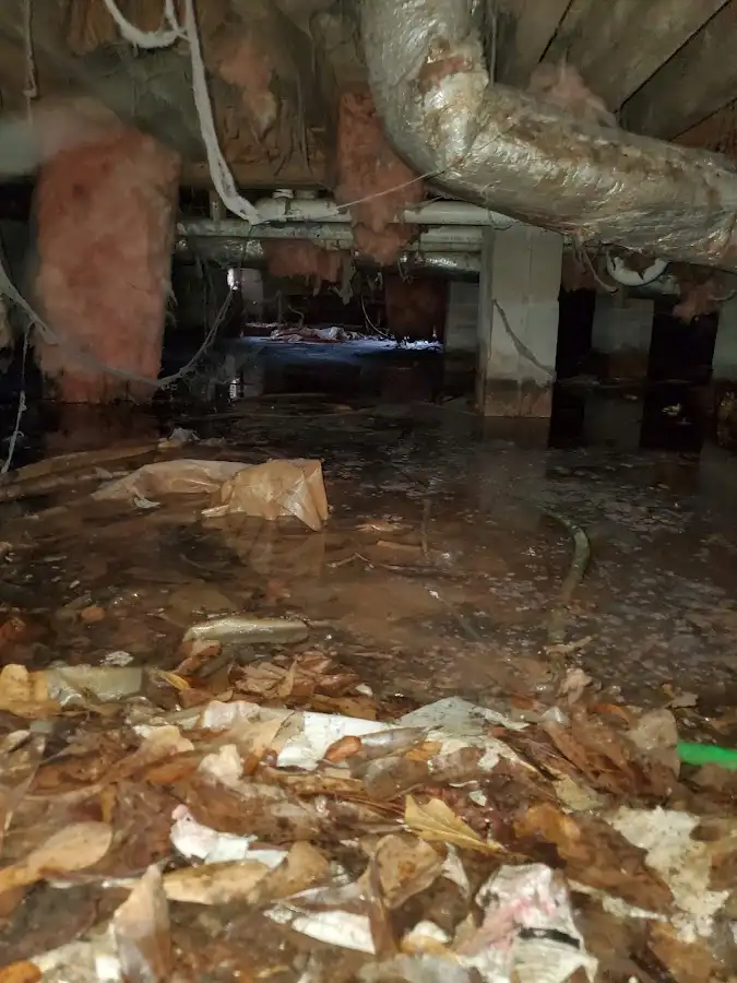 Crawl space flood assessment for Leak Detection & Repair in Irondale
