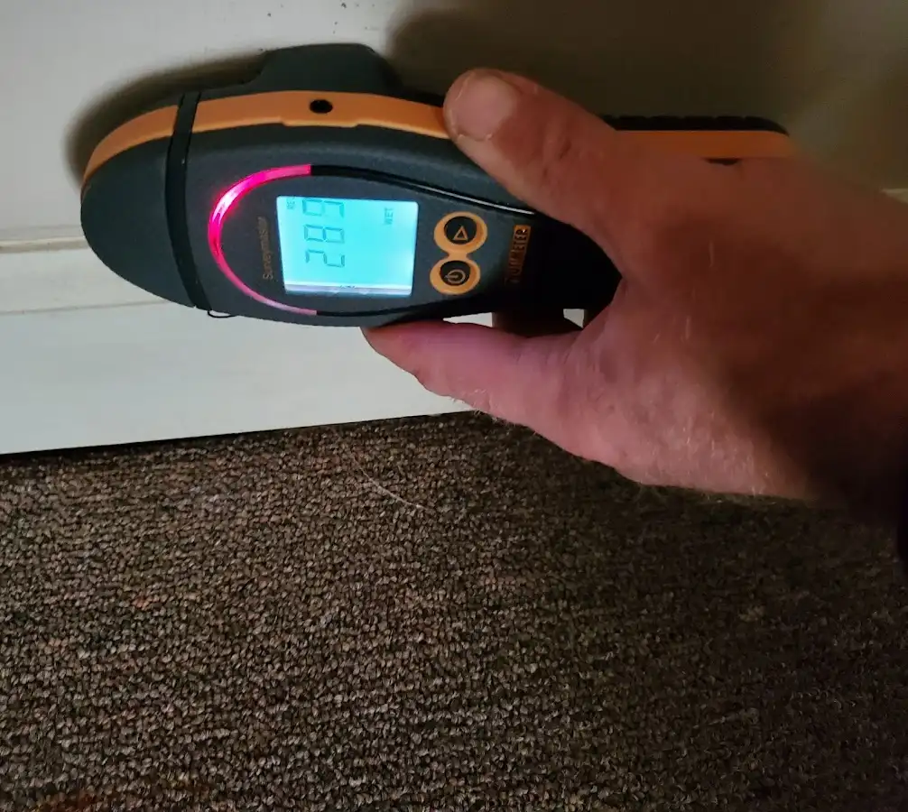 Moisture detection at baseboard during Sewage Cleanup & Sanitation in Irondale